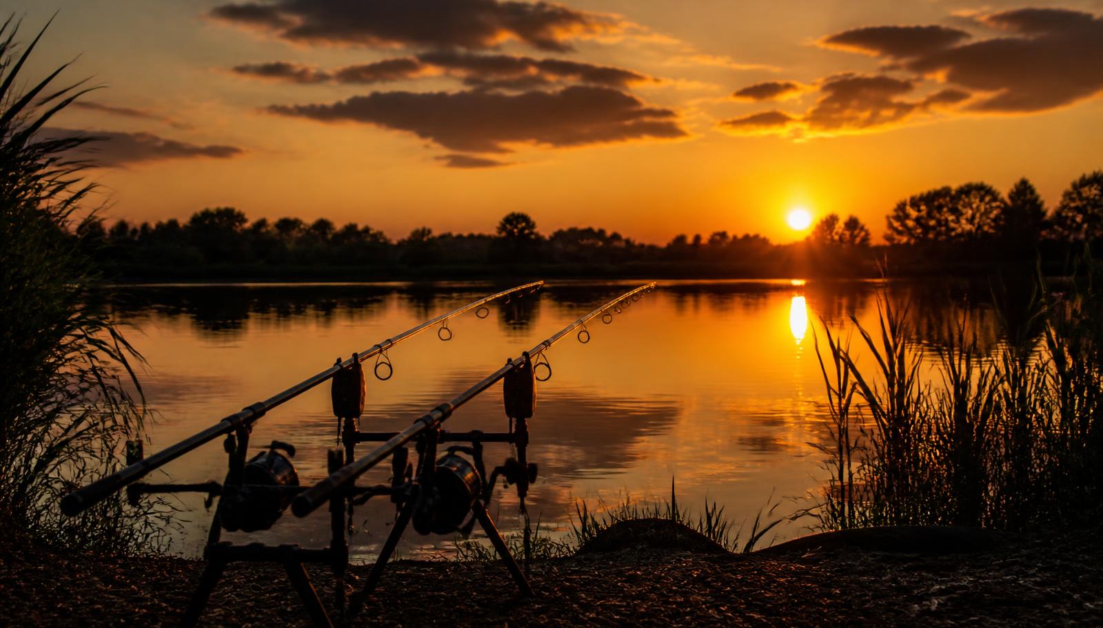 Two carp rods silhouetted against a late summer sunset on a lake